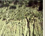 Chap 3: Erosion and Deposition