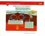 Chap 4 Plate Tectonics