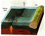 Chap 4 Plate Tectonics