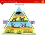 Chap 10 Ecosystems