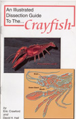 crayfish