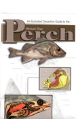 perch