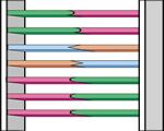 Cell Processes and Energy