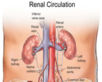 Respiration and Excretion