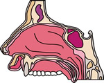 Respiration and Excretion