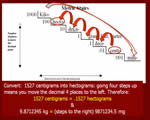 Chap 1: Motion, Speed and Acceleration