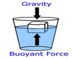 Chap 3: Forces in Fluids