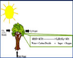 Chap 5 Energy & Power