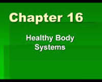 Healthy Body Systems