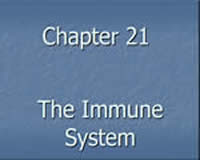 The Immune System