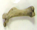 be able to identify these using the chart