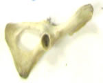 be able to identify these using the chart