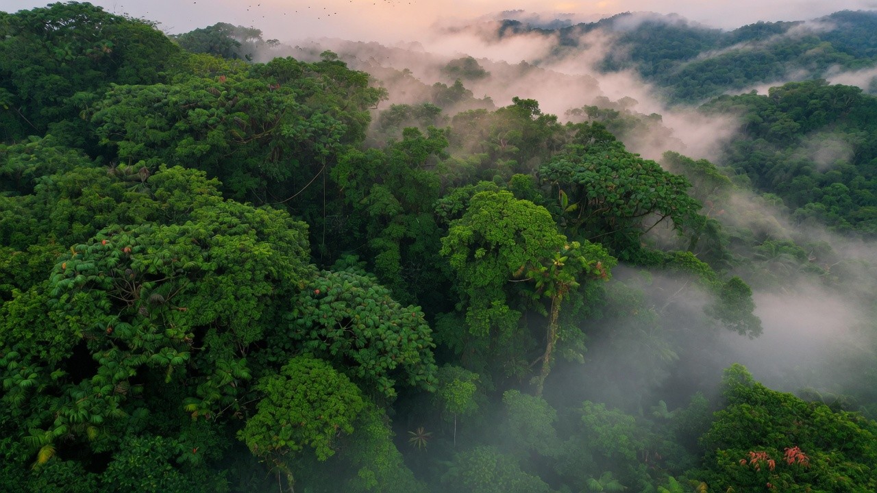 Biomes