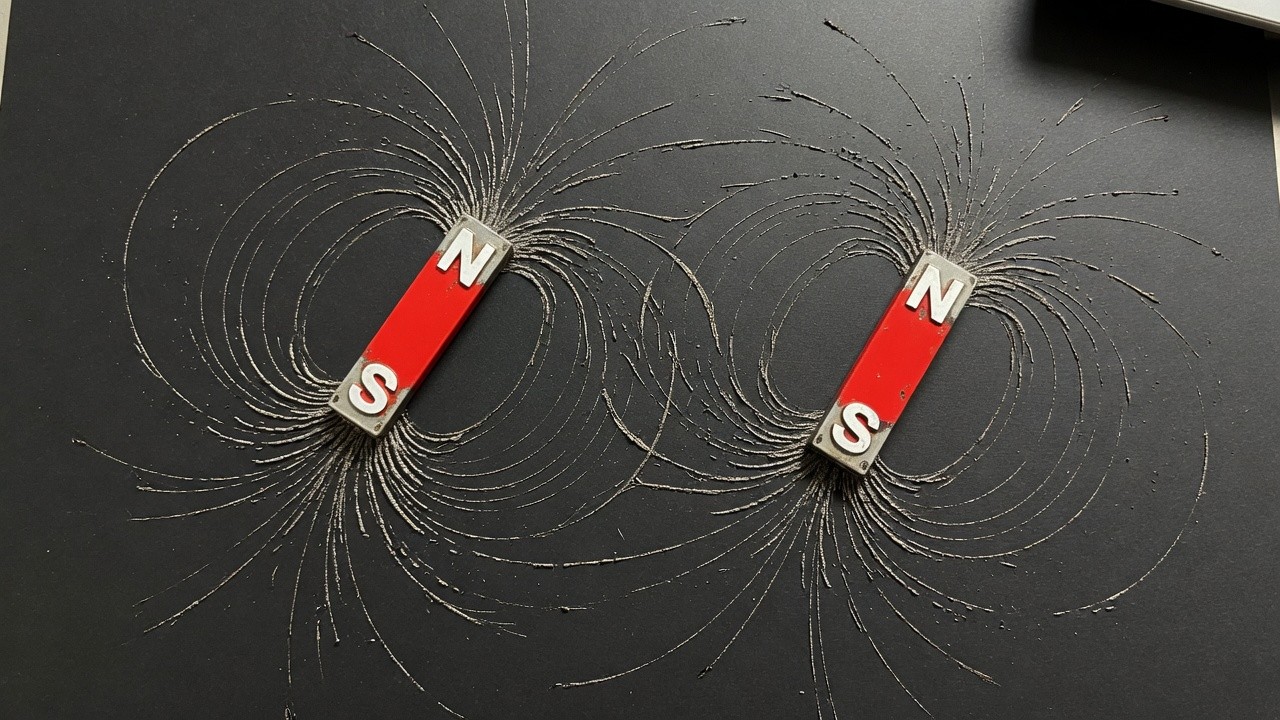 Iron filings tracing a magnetic field